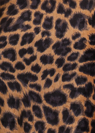 Clan Leopard Print Jumpsuit