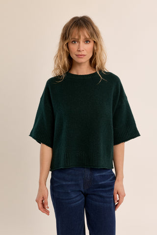 Cozy Quarter Sleeve Knit Sweater