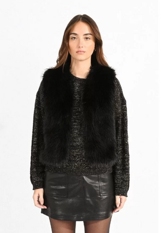 Faux Fur Vest