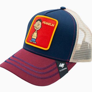 Franklin Trucker Hat