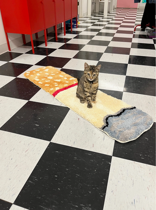 Cigarette Indoor Rug