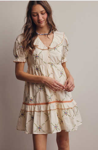 Vintage Inspired Embroidered Babydoll Mini Dress