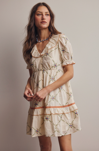 Vintage Inspired Embroidered Babydoll Mini Dress