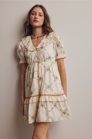 Vintage Inspired Embroidered Babydoll Mini Dress
