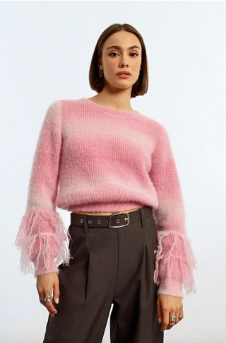 Fringe Sleeve Knit Sweater