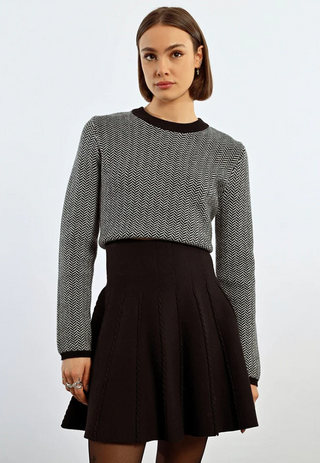 Pleated Knit Skirt