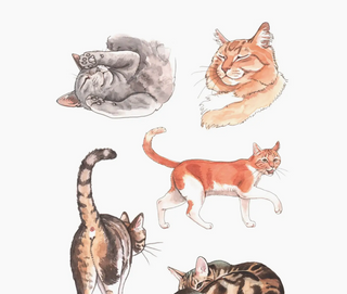 The Cat's Meow Sticker Book