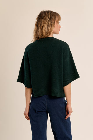 Cozy Quarter Sleeve Knit Sweater