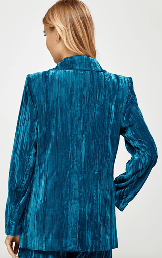 Crushed Velvet Blazer - FINAL SALE - Sincerely Betty