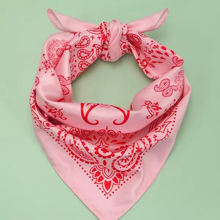 Paisley Bandana Scarf