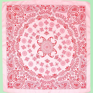 Paisley Bandana Scarf