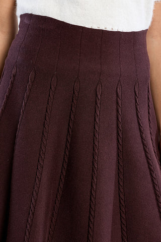 Pleated Knit Skater Skirt