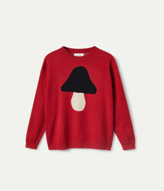 Mushroom Graphic Print Knit Sweater - Sincerely Betty