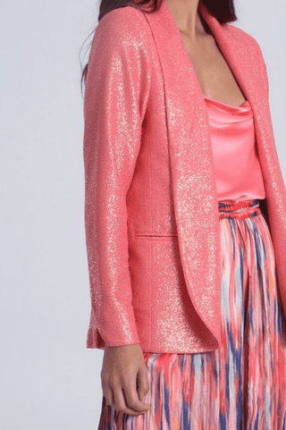 Shimmery Blazer - FINAL SALE - Sincerely Betty