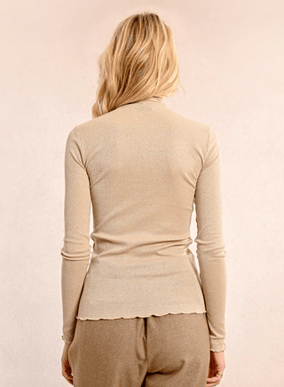 Sparkle Turtleneck Top - Sincerely Betty