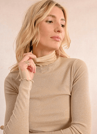 Sparkle Turtleneck Top - Sincerely Betty