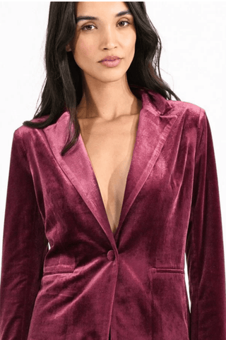 Velvet Blazer - Sincerely Betty