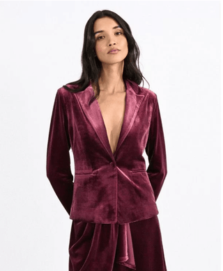Velvet Blazer - Sincerely Betty