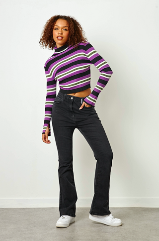 Roll Neck Stripe Knitted Crop Top